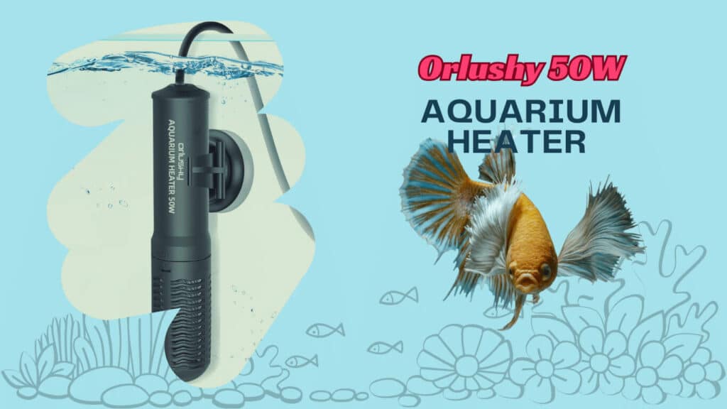 Orlushy submersible aquarium heater blog post review banner