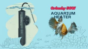 Orlushy submersible aquarium heater blog post review banner