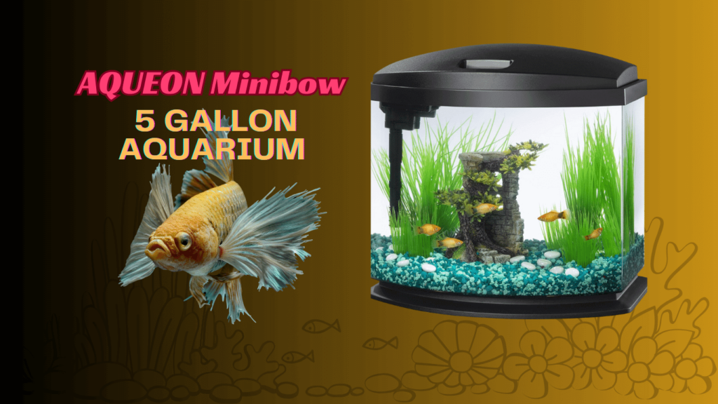 A banner of Aquaeon minibow 5 gallon fish tank with golden betta fish